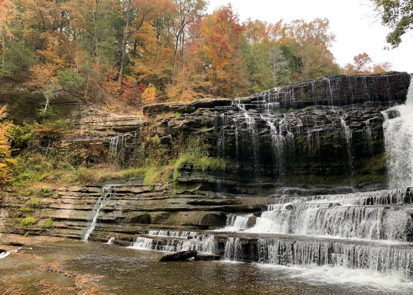 Walton Ferry Arboretum, United States